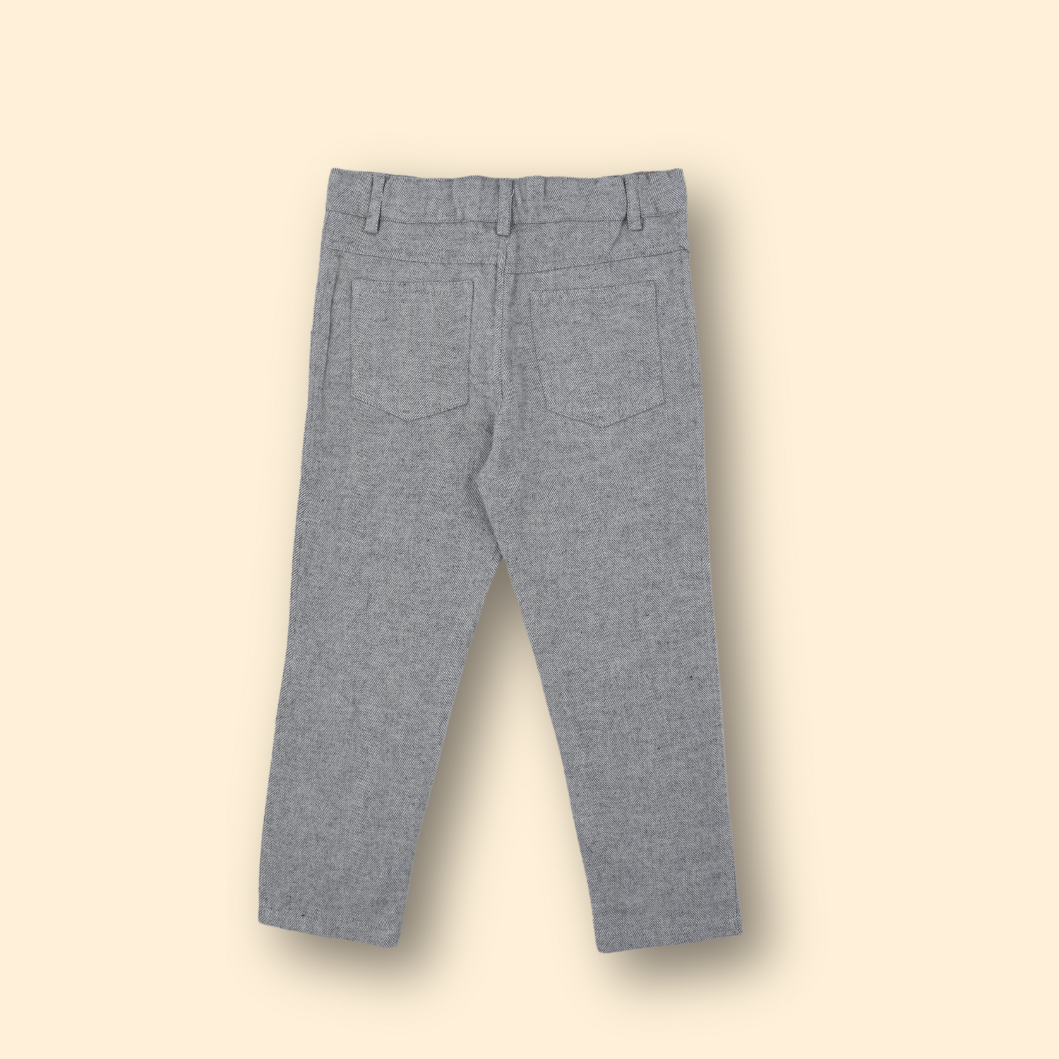 Boys Slim Fit Ash Pants