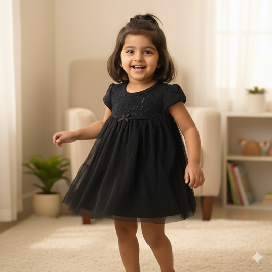 Elegant Black Schiffli Dress with Tulle Overlay